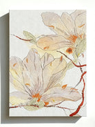 Hand-painted magnolia flower oil painting on canvas featuring two blossoms, modern botanical wall art for living room decor